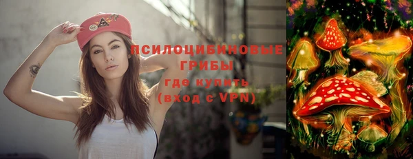 ПСИЛОЦИБИНОВЫЕ ГРИБЫ Армянск