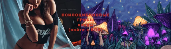 ПСИЛОЦИБИНОВЫЕ ГРИБЫ Армянск