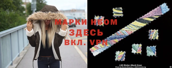 гашик Аркадак