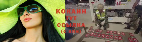 гашик Аркадак