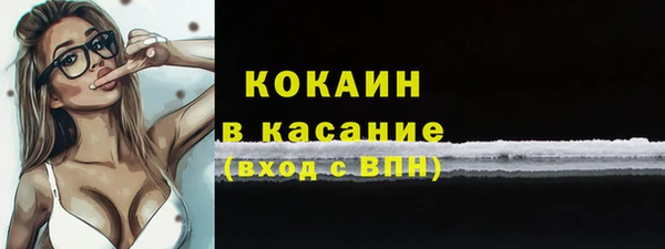гашик Аркадак