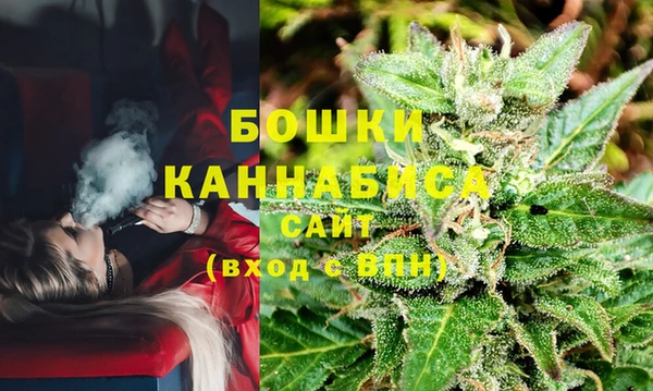 гашик Аркадак