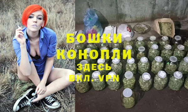 apvp Горнозаводск