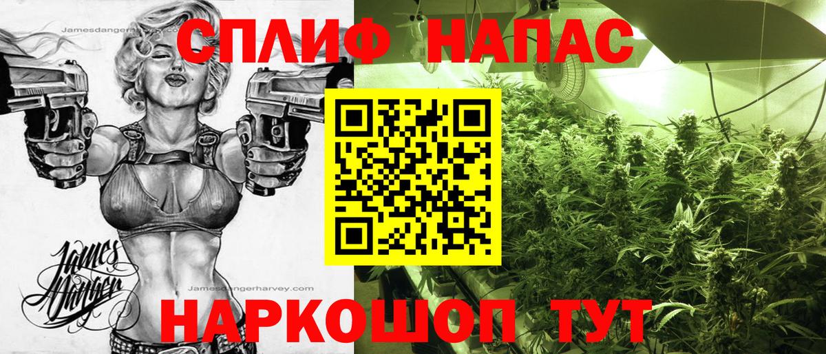 Бошки марихуана ГИДРОПОН Лабинск